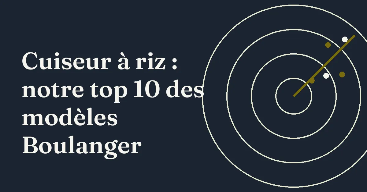 Cuiseur à riz